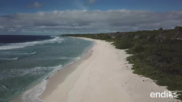 La isla Henderson, un paraíso arruinado por el plástico El Nuevo Día