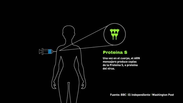 Dr. Cabanillas explica cómo funciona la vacuna contra el COVID-19